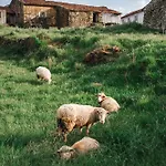 Εξοχικό σπίτι Alojamentos Turisticos Sao Torcato Moradal Turismo Espaco Rural *