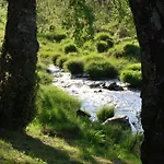 Alojamentos Turisticos Sao Torcato Moradal Turismo Espaco Rural *