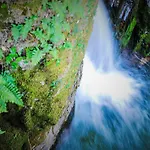 Alojamentos Turisticos Sao Torcato Moradal Turismo Espaco Rural Landsted Estreito
