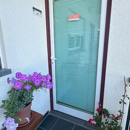 Venkovský dům Alojamentos Turisticos Sao Torcato Moradal Turismo Espaco Rural *