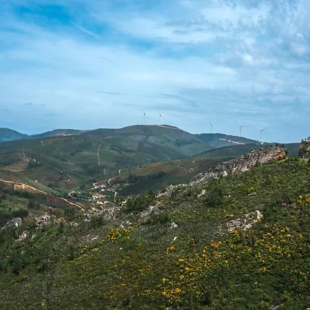 Εξοχικό σπίτι Alojamentos Turisticos Sao Torcato Moradal Turismo Espaco Rural