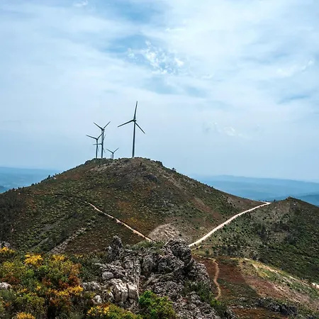 Εξοχικό σπίτι Alojamentos Turisticos Sao Torcato Moradal Turismo Espaco Rural *
