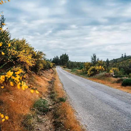 Εξοχικό σπίτι Alojamentos Turisticos Sao Torcato Moradal Turismo Espaco Rural
