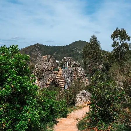 Alojamentos Turisticos Sao Torcato Moradal Turismo Espaco Rural