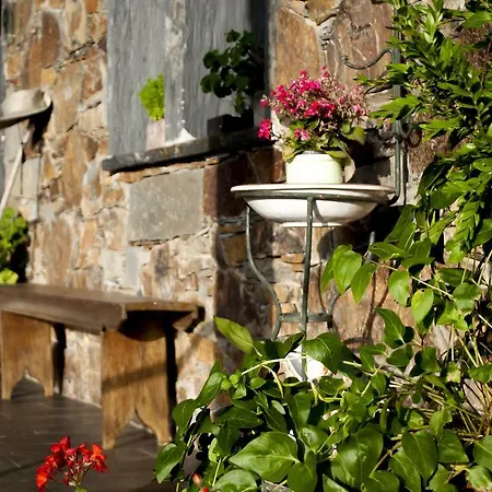 Country house Alojamentos Turisticos Sao Torcato Moradal Turismo Espaco Rural *