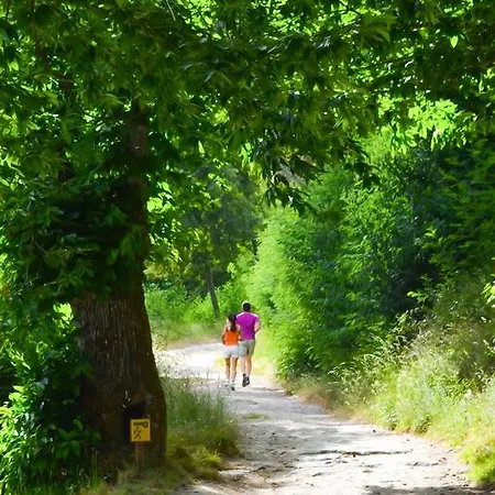 Alojamentos Turisticos Sao Torcato Moradal Turismo Espaco Rural Venkovský dům Estreito