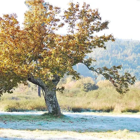 Venkovský dům Alojamentos Turisticos Sao Torcato Moradal Turismo Espaco Rural Estreito