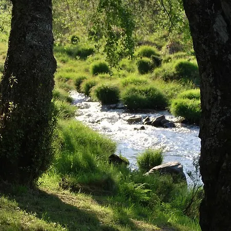Alojamentos Turisticos Sao Torcato Moradal Turismo Espaco Rural *