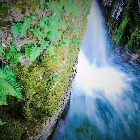 Alojamentos Turisticos Sao Torcato Moradal Turismo Espaco Rural Venkovský dům Estreito