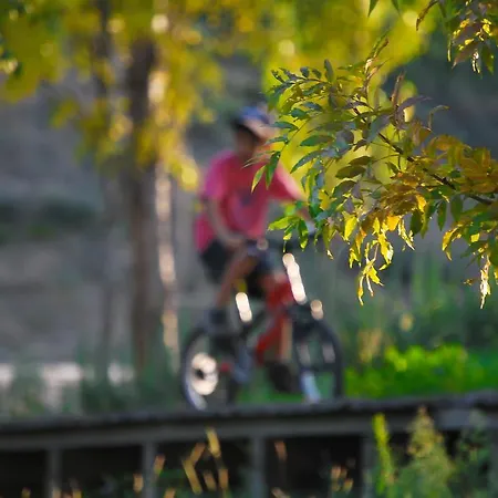 Alojamentos Turisticos Sao Torcato Moradal Turismo Espaco Rural Venkovský dům Estreito