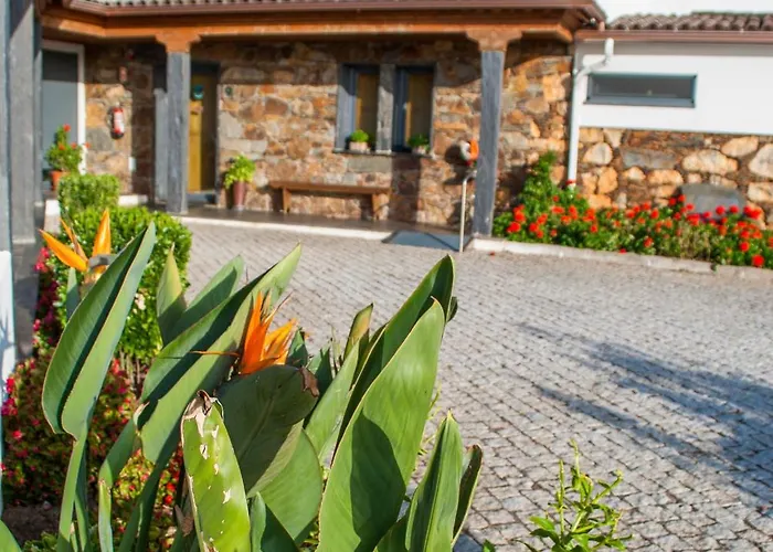 Séjour à la campagne Alojamentos Turísticos São Torcato Moradal Turismo Espaço Rural Estreito