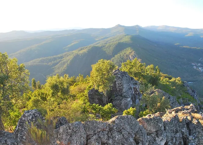Alojamentos Turísticos São Torcato Moradal Turismo Espaço Rural Séjour à la campagne *