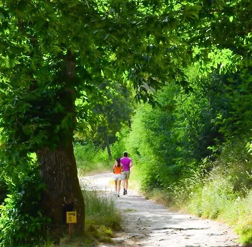 Alojamentos Turísticos São Torcato Moradal Turismo Espaço Rural Séjour à la campagne Estreito