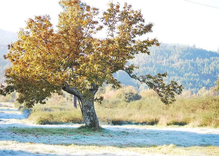 בית כפרי Alojamentos Turisticos Sao Torcato Moradal Turismo Espaco Rural Estreito