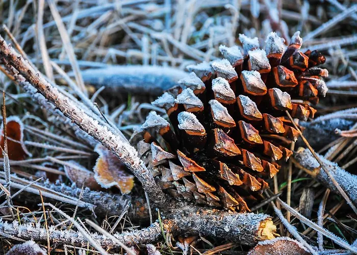 בית כפרי Alojamentos Turisticos Sao Torcato Moradal Turismo Espaco Rural *