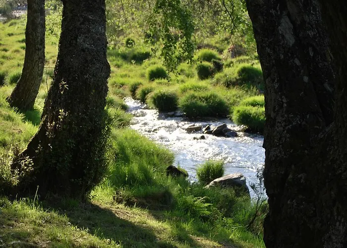 Alojamentos Turisticos Sao Torcato Moradal Turismo Espaco Rural *