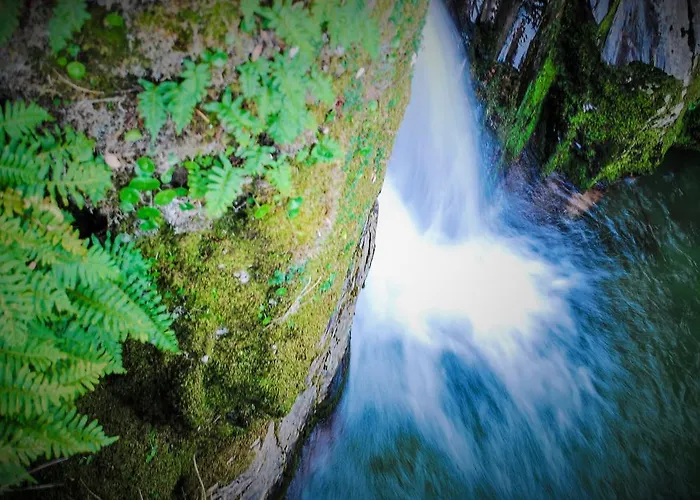 Alojamentos Turísticos São Torcato Moradal Turismo Espaço Rural Séjour à la campagne Estreito