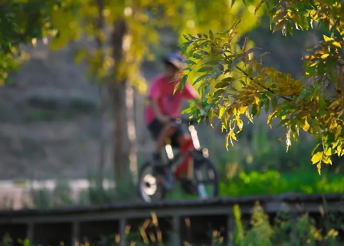 Alojamentos Turisticos Sao Torcato Moradal Turismo Espaco Rural בית כפרי Estreito